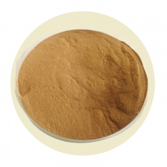 Nettle Root Extract（Urtica dioica L.）10:1
