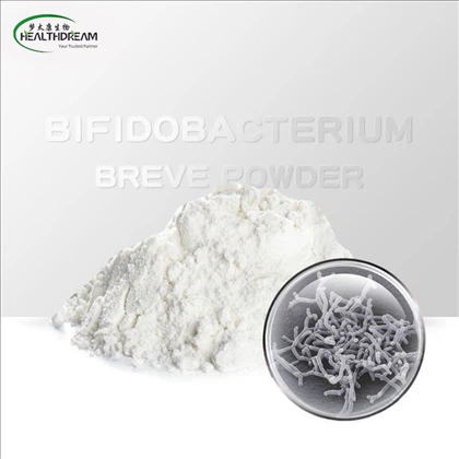 Bifidobacterium Breve powder