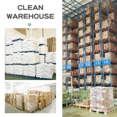 Lactobacillus Bulgaricus powder