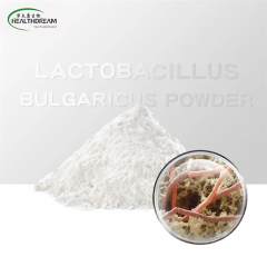 Lactobacillus Bulgaricus powder