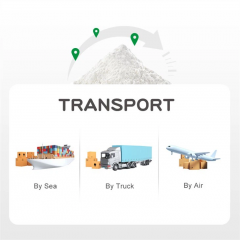 Lactobacillus Bulgaricus powder