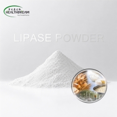 Lipase Powder