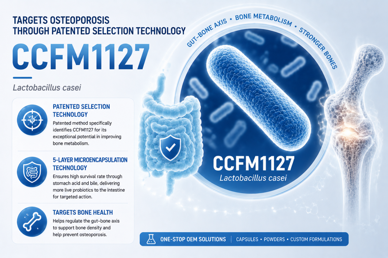 How does Lactobacillus casei CCFM1127 utilize patented screening technology to support bone health?